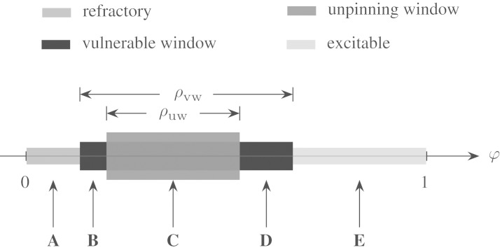 Figure 11.