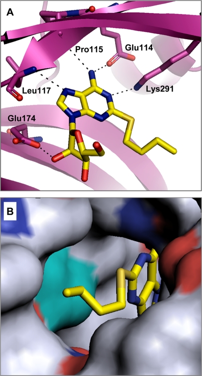 FIG. 3.