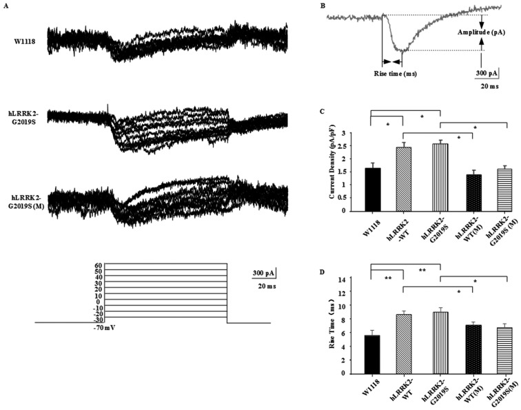 Figure 1.