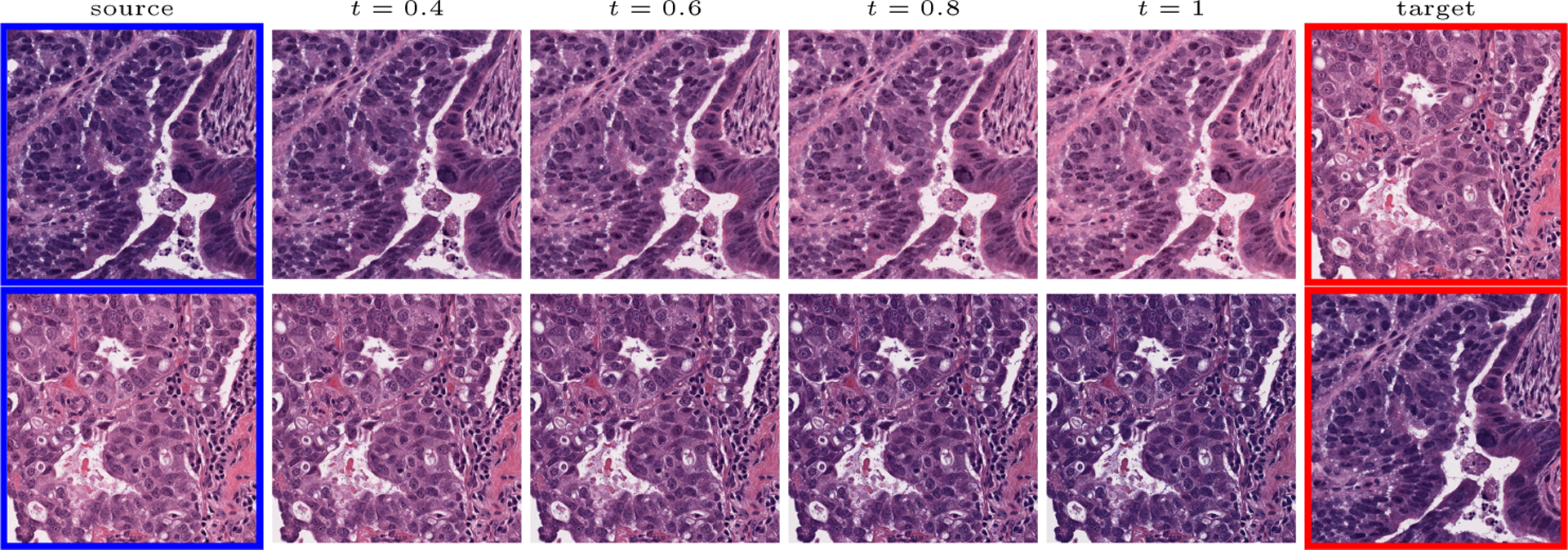 Fig.1.