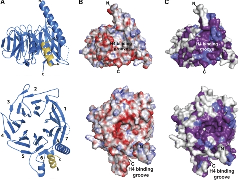 FIGURE 1.