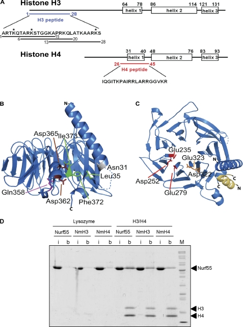 FIGURE 3.