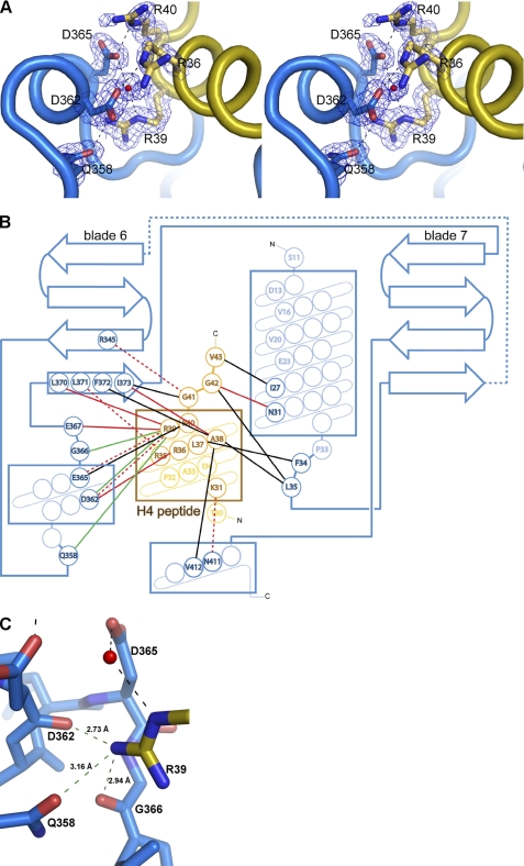 FIGURE 2.