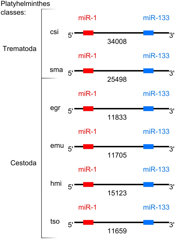 Fig 5