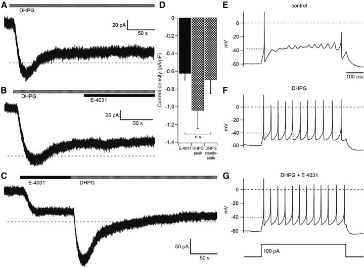 Figure 11.