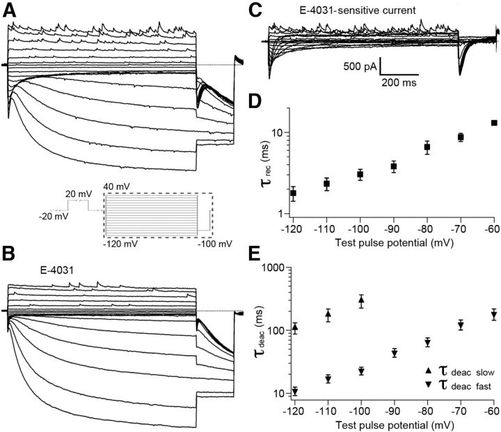 Figure 5.