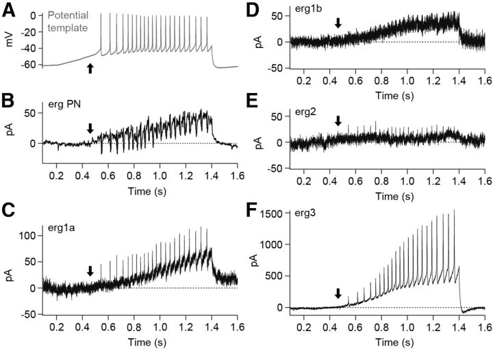 Figure 7.