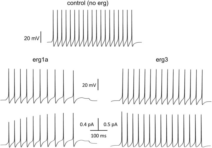 Figure 9.