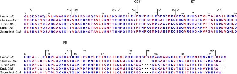 FIG. 2.—