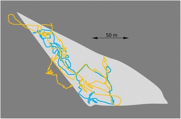 Fig. 13