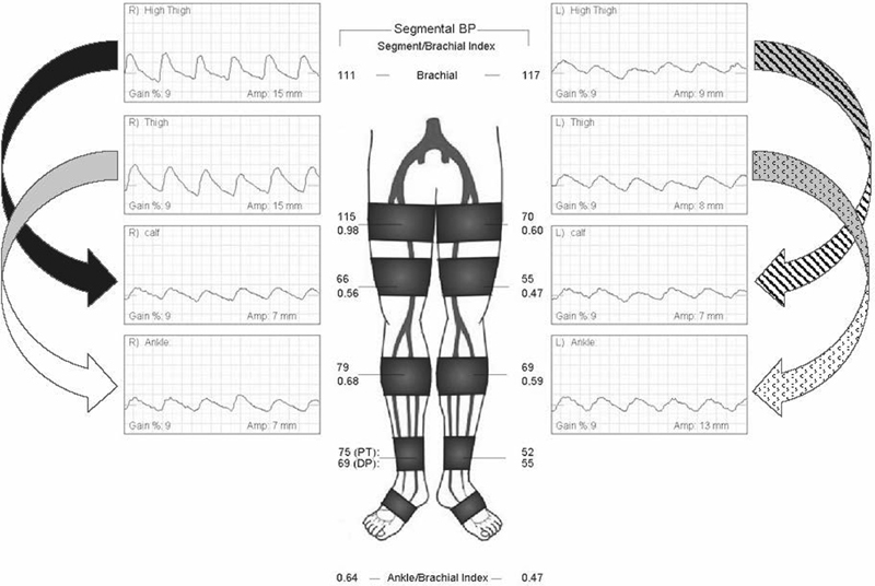 Fig. 5