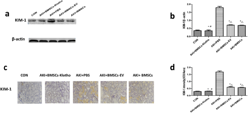 Fig. 10