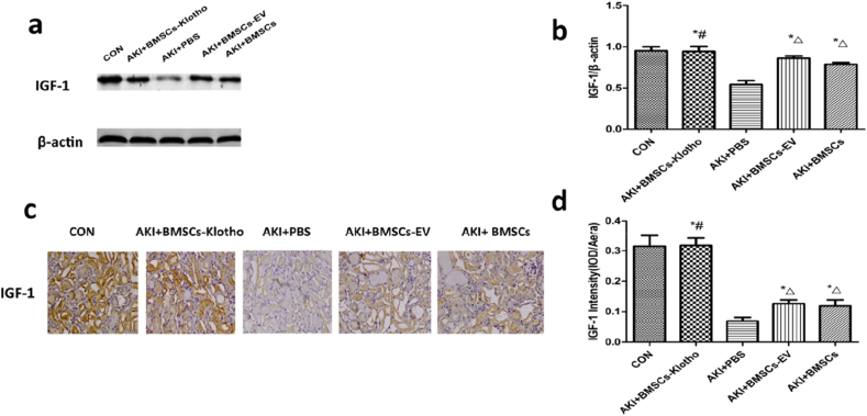 Fig. 12