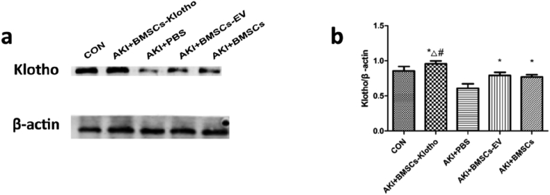 Fig. 8