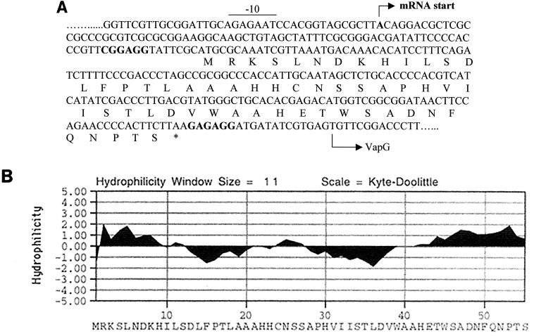 FIG. 7.