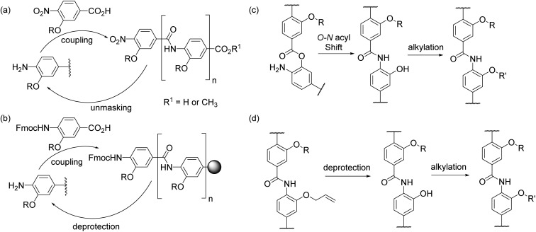 Scheme 1