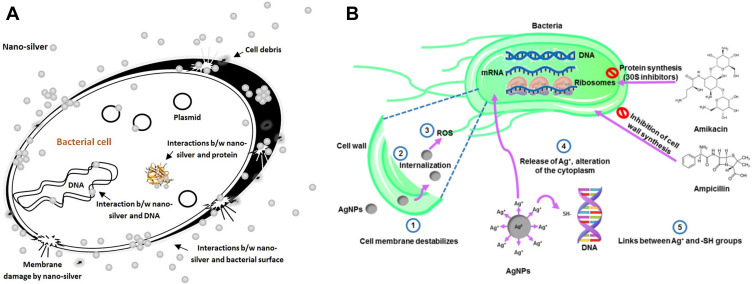 Figure 12