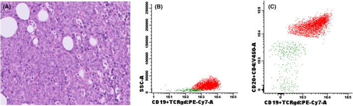 FIGURE 1