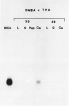 93