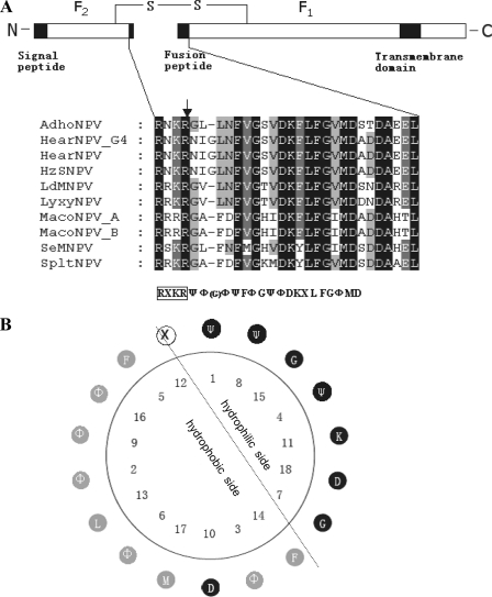 FIG. 1.