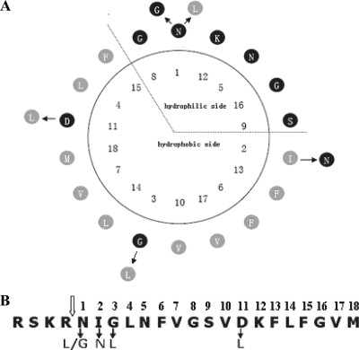 FIG. 2.