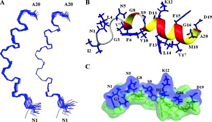 FIG. 9.