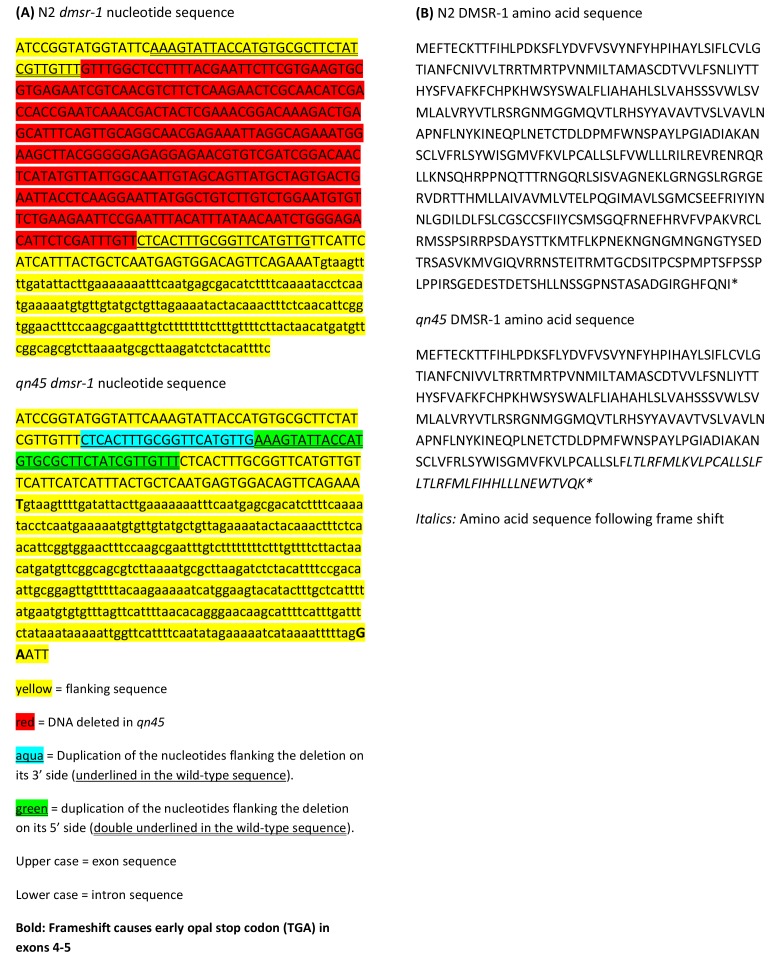 Figure 1—figure supplement 1.