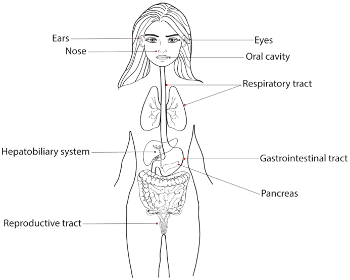 Figure 1.