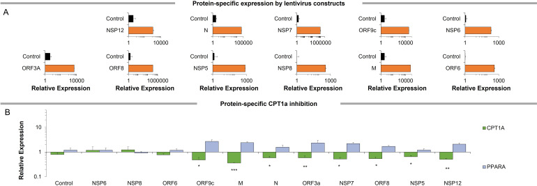 Figure 2—figure supplement 1.