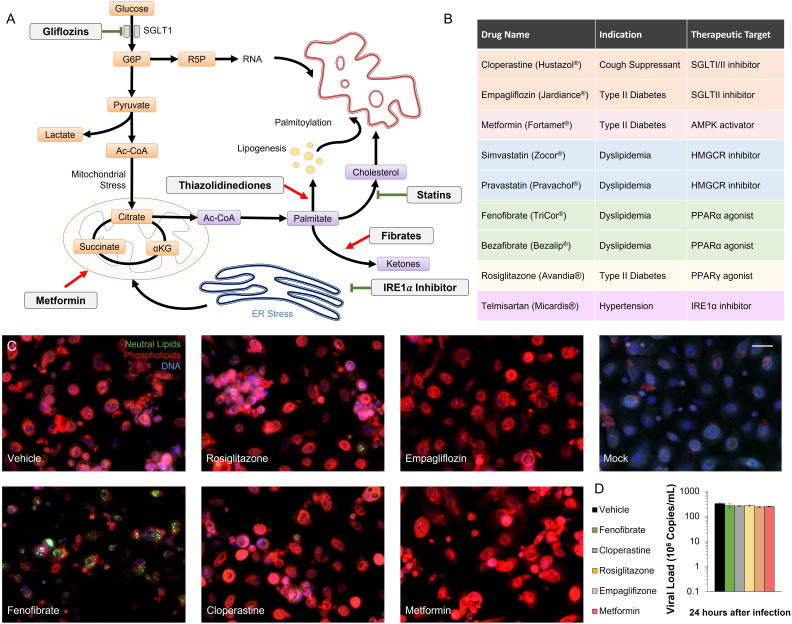 Figure 3—figure supplement 1.