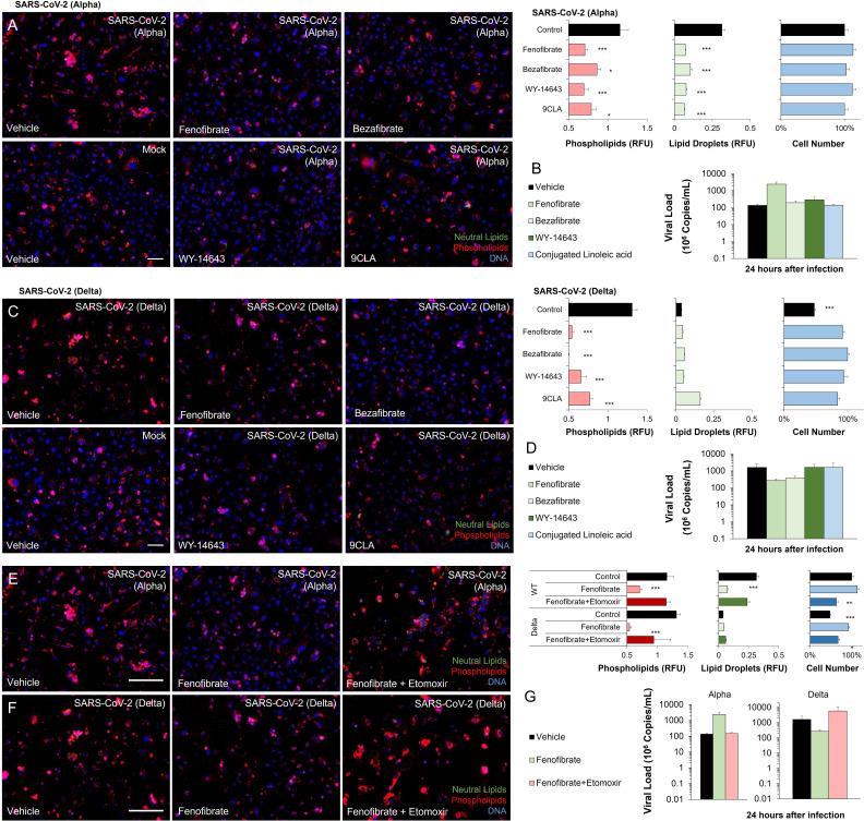 Figure 3—figure supplement 2.