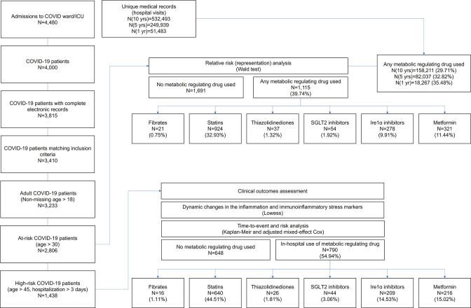 Figure 4—figure supplement 1.