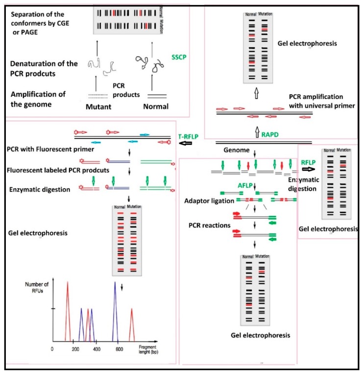 Figure 17