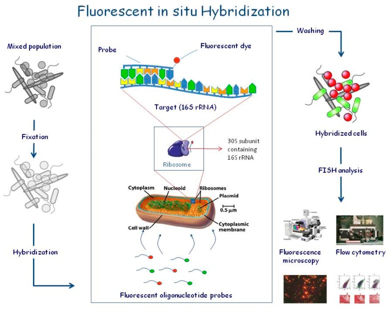 Figure 18