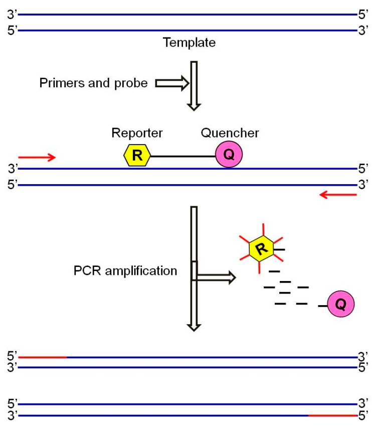 Figure 13