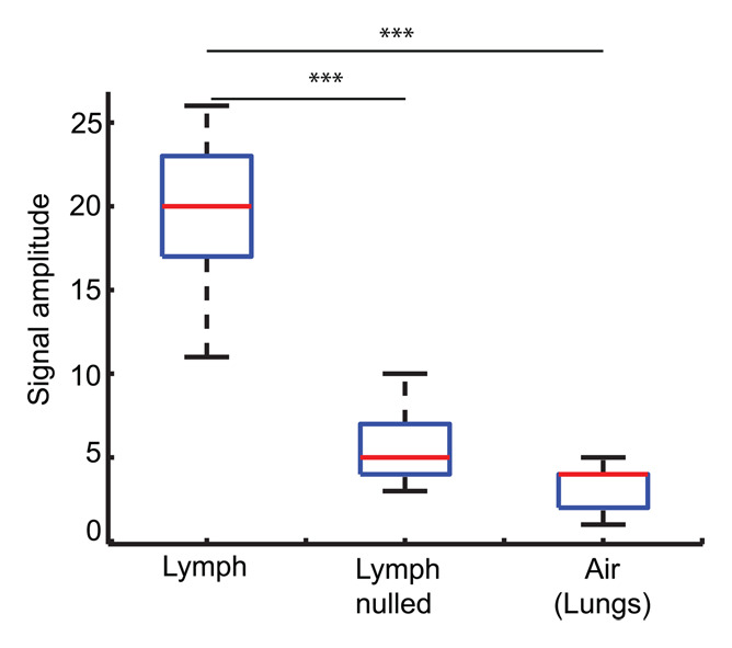 Figure 1e: