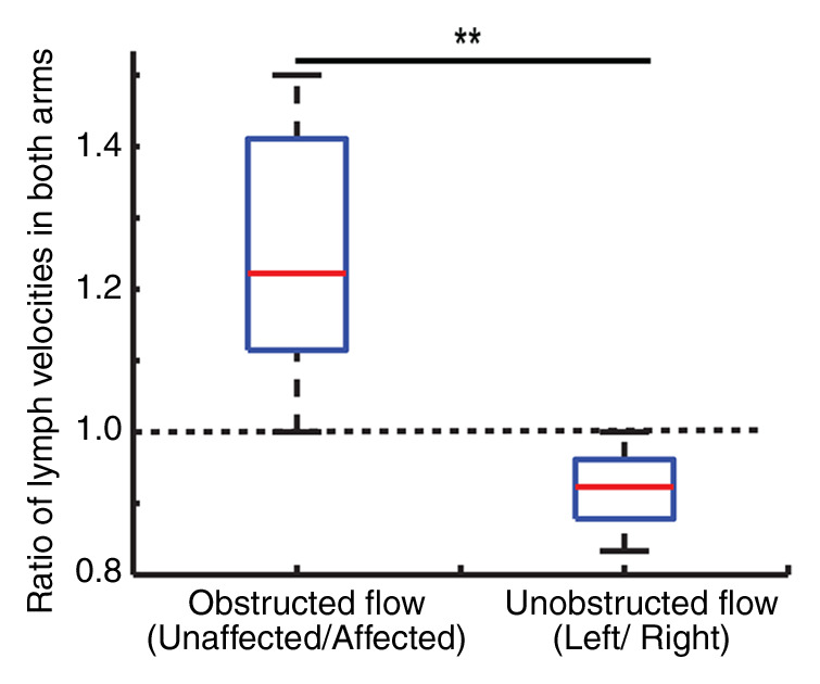 Figure 4b: