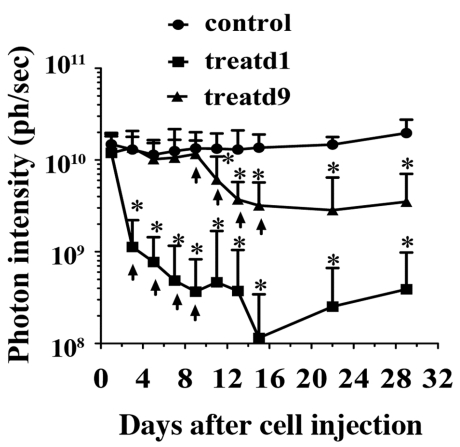 Fig 5