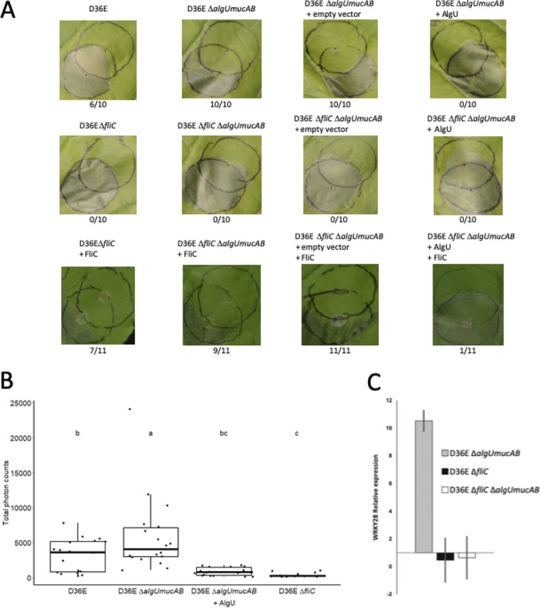 FIG 2