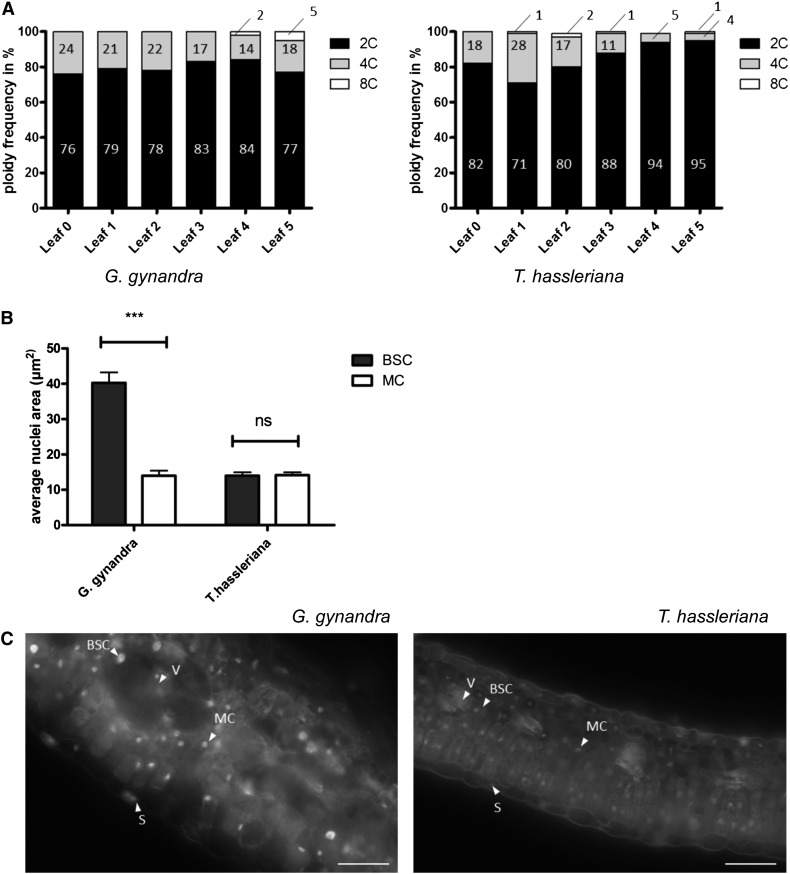 Figure 6.