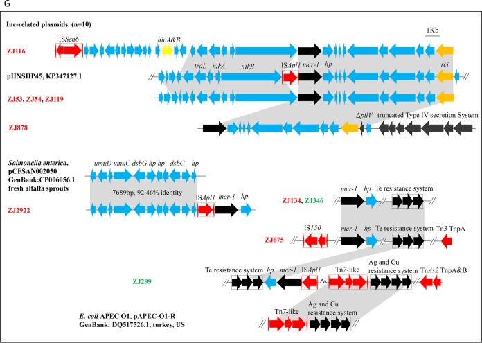 FIG 3 