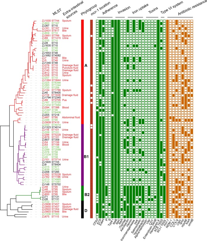 FIG 1 