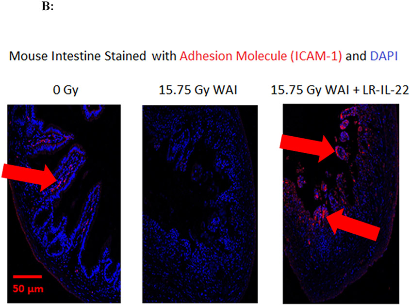 Figure 3: