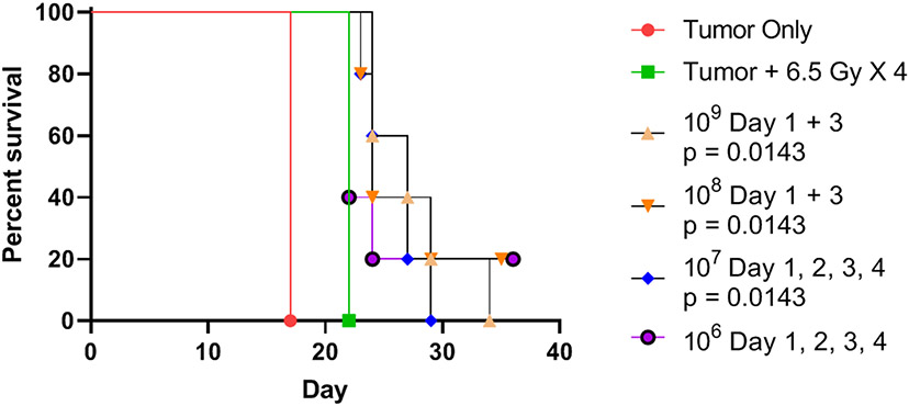 Figure 7: