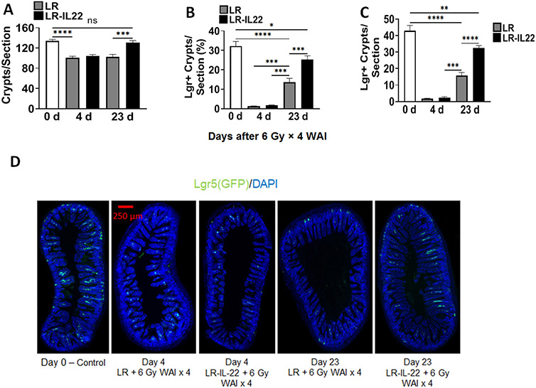 Figure 4: