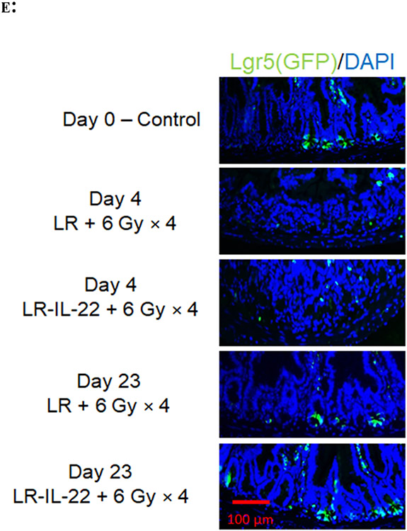 Figure 4: