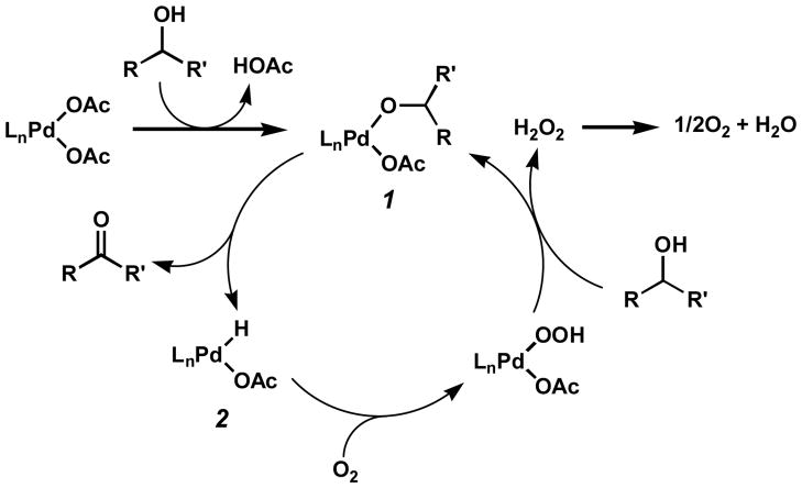 Scheme 2