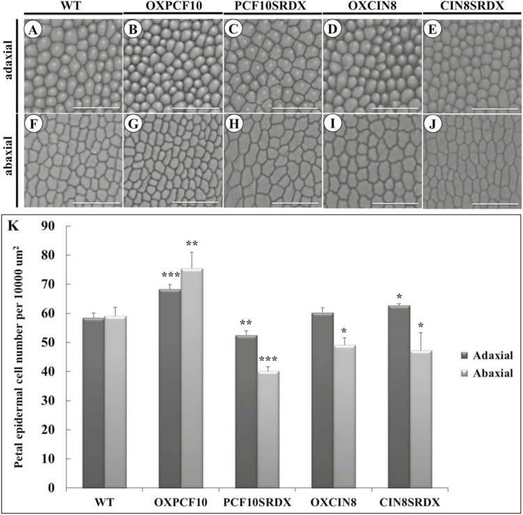 Fig. 10.