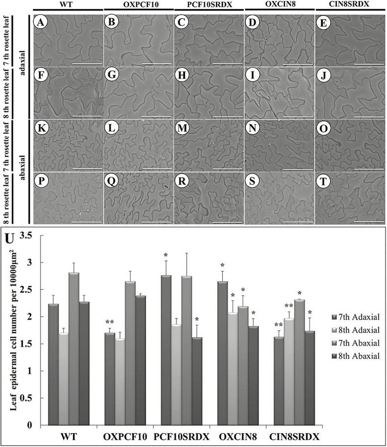 Fig. 8.