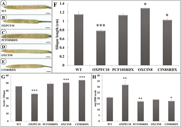 Fig. 11.